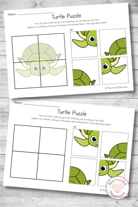 Printable Turtle Puzzle Preschool Cut And Paste Worksheet Nurtured