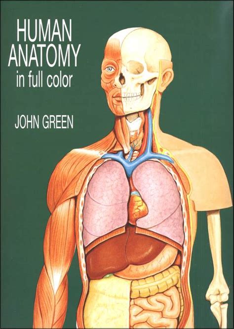 Full Pic Of Human Anatomy