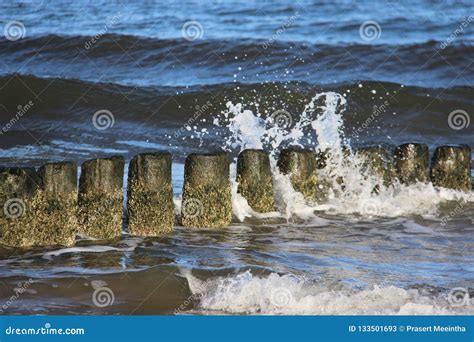 Wooden Wave Breaker Stock Image Image Of White Wave 133501693