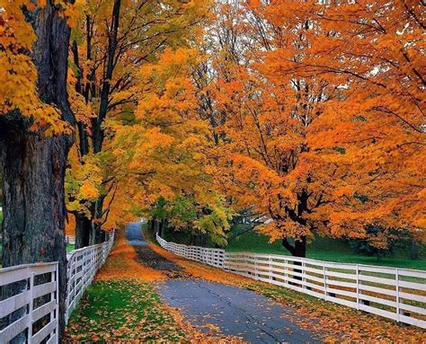 Pin By Becky Cagwin On Boundaries Fences And Walls Autumn Scenery