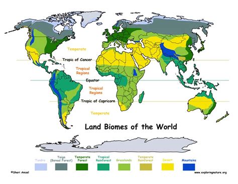 Biomes Locations On Earth