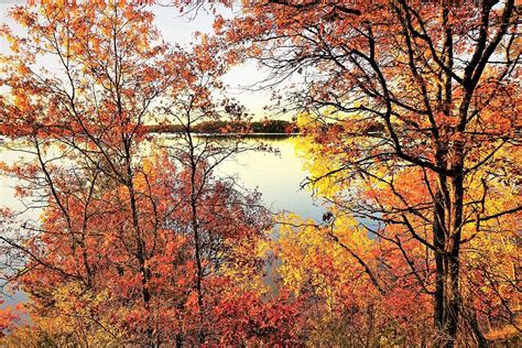 Fall In The Northwoods Photograph By Janet Kay Fine Art America
