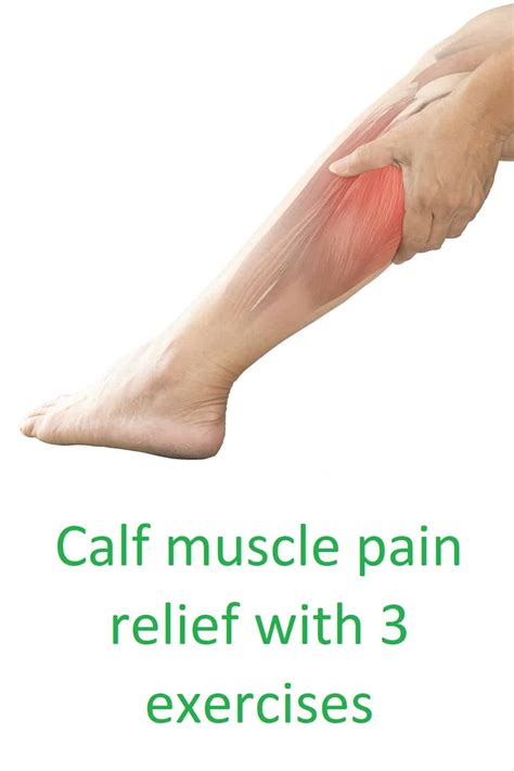 Calf Muscle Pain Cause And Treatment With Exercises For Relief