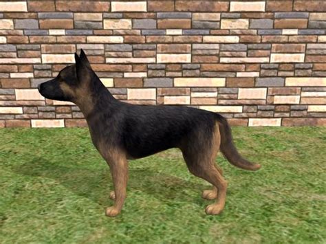 Sims 4 German Shepherd