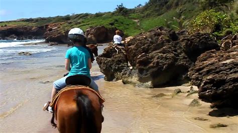 Horseback Riding Kauai Youtube