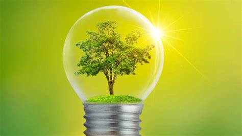 5 Consejos Prácticos Para Ahorrar Energía Y Cuidar El Medioambiente