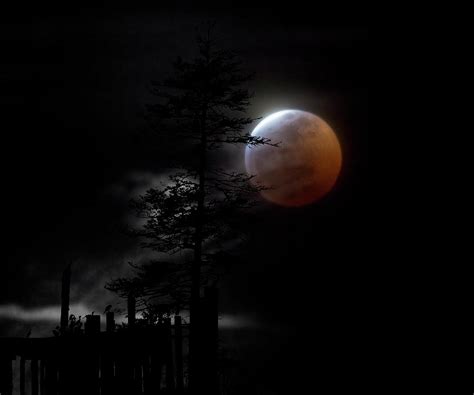 Country Bay Moon Photograph By Betsy Knapp Fine Art America