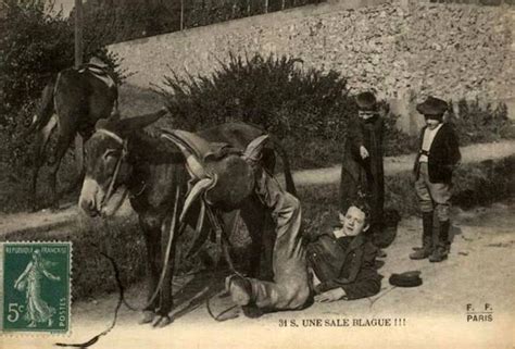 Funny Vintage Postcards Depict People Falling From Donkeys In Le
