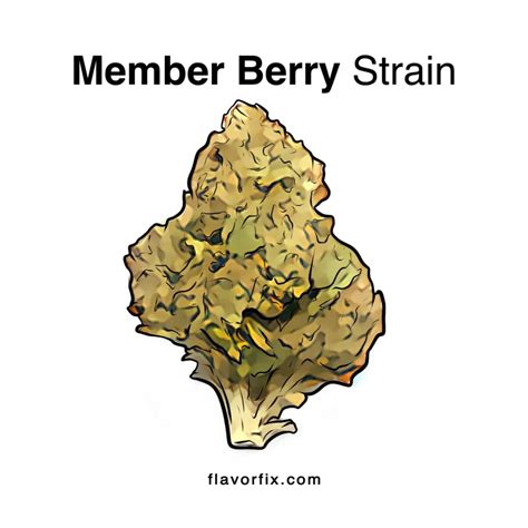 Member Berry Strain Cannabis Strains Flavor Fix