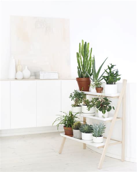 Tdc Interior Styling Indoor Plants