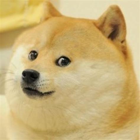 Image 581071 Doge Know Your Meme