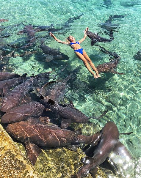 Model Katarina Zarutskie Gets Bitten By Shark While Posing