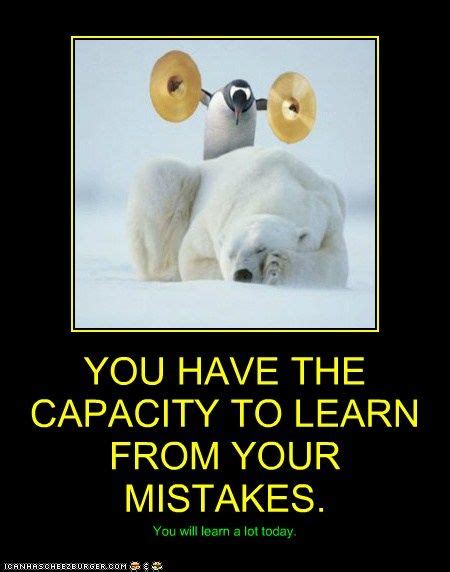Probably The Most Valuable Lesson Of Your Life Funny Animal Memes