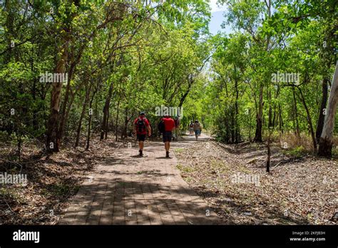 View of the easy track leading to a journey through time to an outdoor