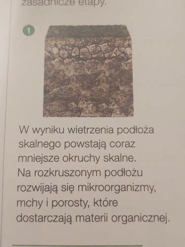 Fiszki Pedosfera I Biosfera Quizlet