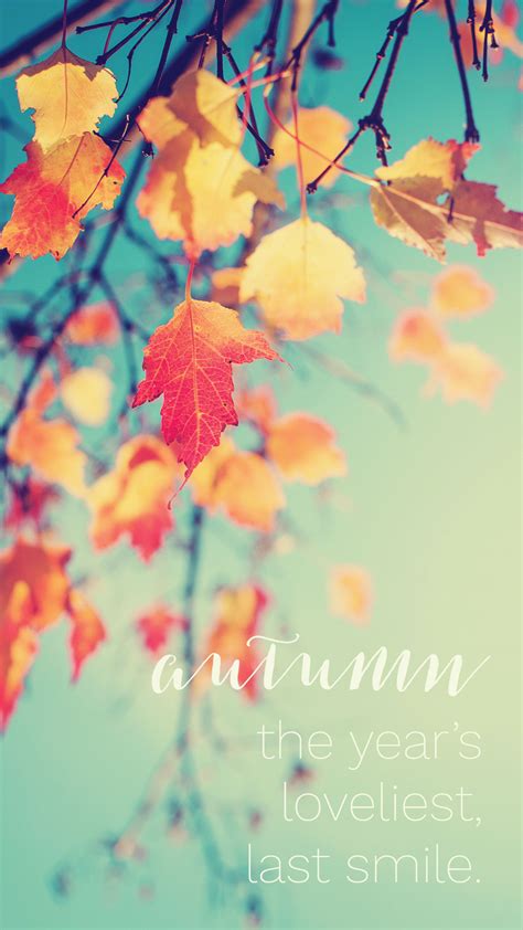 Iphone wallpapers for iphone 12, iphone 11, iphone x, iphone xr, iphone 8 plus high quality. November Wallpapers for Mobile iPhone Android | PixelsTalk.Net