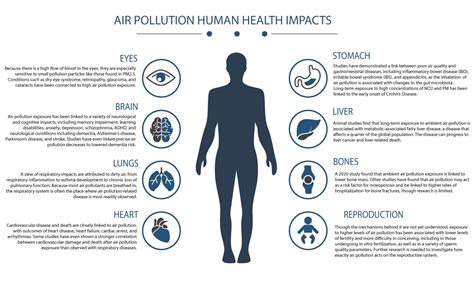 How Does Air Pollution Affect Human Health Clarity
