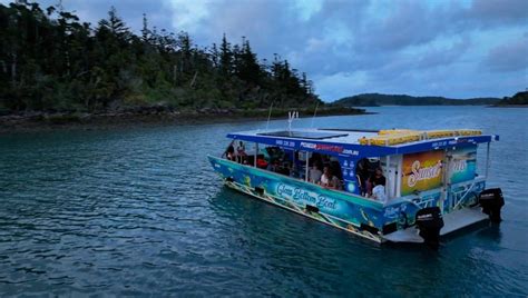 Airlie Beach Glass Bottom Boat Tour Getyourguide