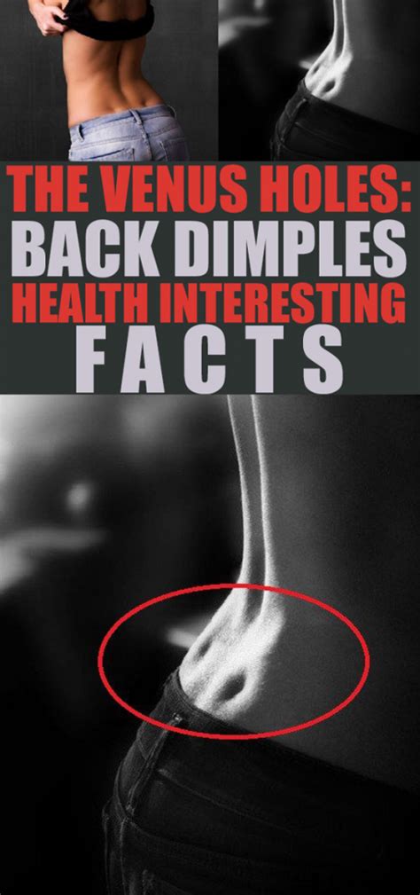 The Venus Holes Back Dimples Health Interesting Facts Venus Holes Back Dimples Health And