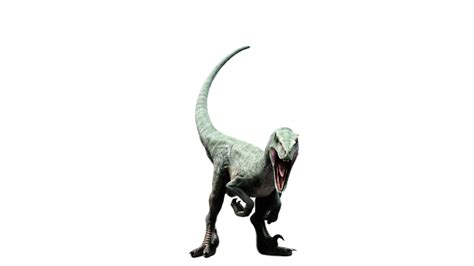 Jurassic World Delta Raptor By Camo Flauge On Deviantart Jurassic World Jurassic World T