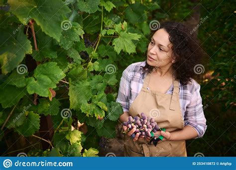 Prosperous Multiethnic Woman Experienced Viticulturist Vine Grower