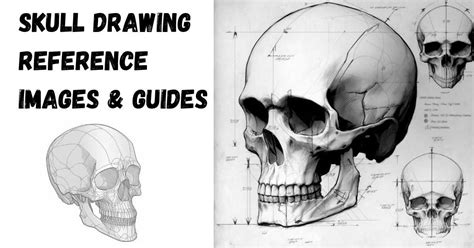 27 Awesome Skull Drawing Reference Images Artsydee Drawing
