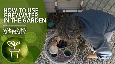 How To Use Greywater In The Garden Diy Garden Projects Gardening