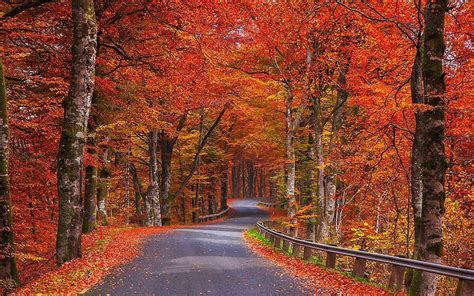 New Hampshire Fall Foliage Wallpaper Fall Hd Wallpaper