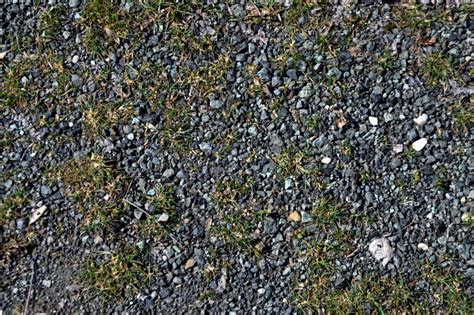 Grass Stones Texture Stock Photo Image Of Little Nature 30223672