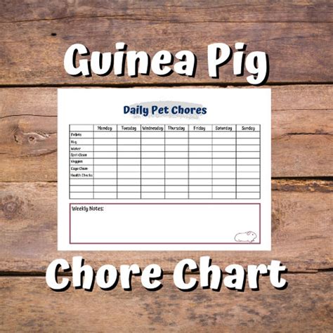 Guinea Pig Chore Chart Etsy