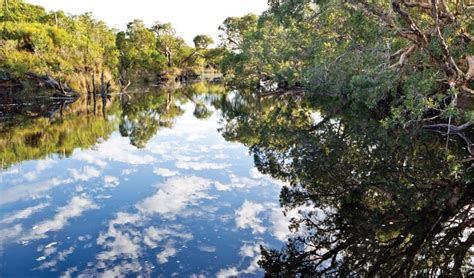 Jerusalem Creek Walk Nsw National Parks