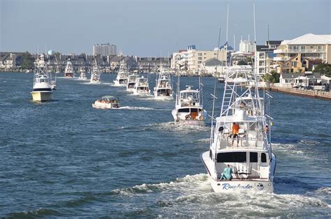 Ocean City White Marlin Open Photograph By Bob Gizinski Pixels