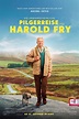 The Unlikely Pilgrimage of Harold Fry Movie Information & Trailers ...