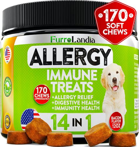 55 Droll Dog Itching Food Allergy Photo 4k Ukbleumoonproductions