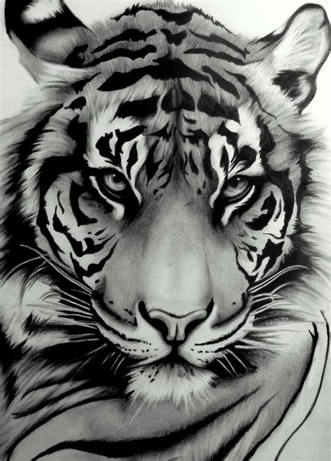 My Tattoo ~ Sumatran Tiger By ~artistelllie Tiger Tattoo