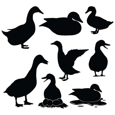 Ducks Silhouette Png Images Duck Silhouette Collection Vector