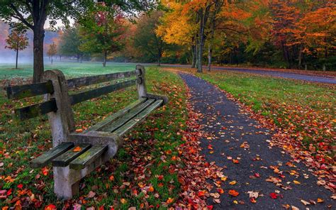 Download Wallpaper For 1080x1920 Resolution Park Trees Leaves