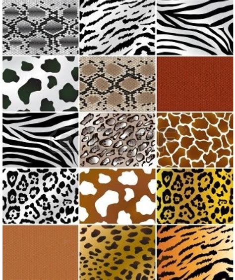 Why Animal Prints Are Always A Favorite Animal Print Crafts By