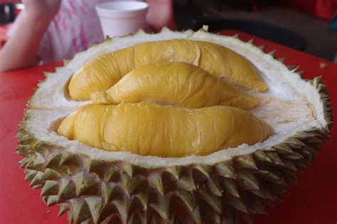 This week, prices for musang king plummeted to around rm30 per kg in raub, pahang, which is a major durian producing area. How To Pick The Perfect Durian And Make The Most Out Of ...