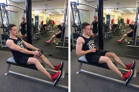 Seated Cable Row Exercise Guide