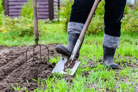 How To Dig The Soil In Your Garden And What Benefits Will It Bring