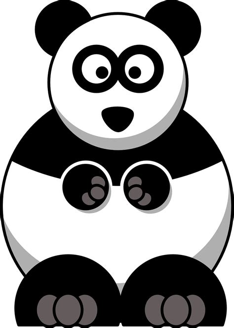 Panda Bear Baby Free Vector Graphic On Pixabay