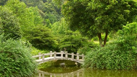 The Most Beautiful Gardens In Guangzhou Jumeirah