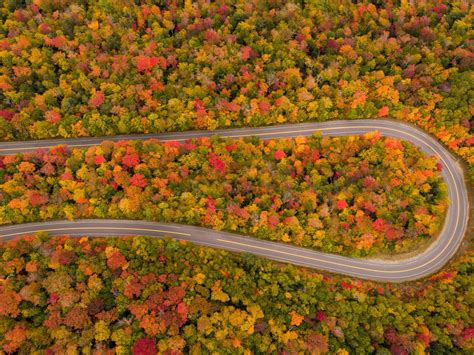 The Ultimate Fall Foliage Road Trip Fall Foliage Road Trips Scenic