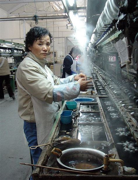 silk factory worker 2 | Factory worker, Worker, Factory