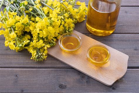 The 7 Best Canola Oils In 2022
