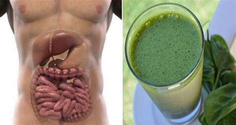 Shared Health News 48 Hour Weekend Liver Colon And Kidney Detox That