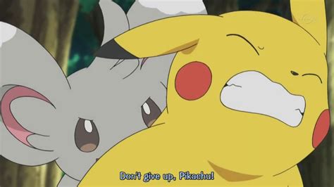 Minccino Tickling Pokemon Anime Scene Eng Sub Youtube