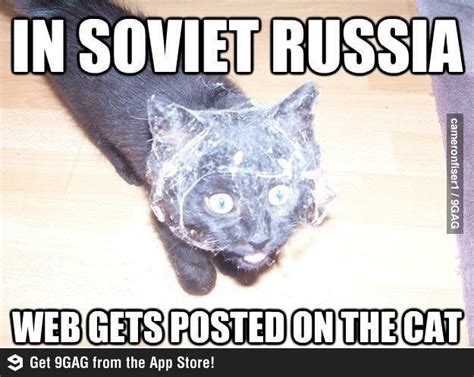 In Soviet Russia Comedy Funny Cats In Soviet Russia Meanwhile In