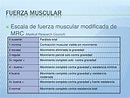 Escala de fuerza muscular modificada del MRC | Tratamientoictus.com